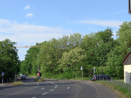 Makler Koeln Wahnheide